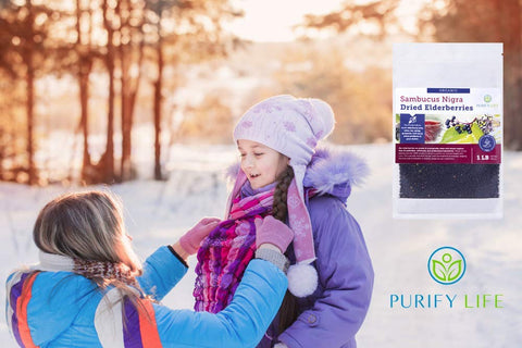 Purify Life Sambucus Nigra Elderberry Dried Bag 16 oz 454g Purify Life Sambucus Nigra Elderberry Dried Bag 16 oz 454g
