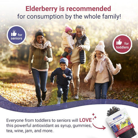 Purify Life Sambucus Nigra Elderberry Dried Bag 16 oz 454g Purify Life Sambucus Nigra Elderberry Dried Bag 16 oz 454g
