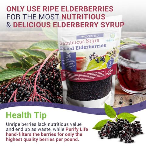 Purify Life Sambucus Nigra Elderberry Dried Bag 16 oz 454g Purify Life Sambucus Nigra Elderberry Dried Bag 16 oz 454g