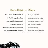 KAPIVA Shilajit resin 20g + Stamin Up Capsule Combo