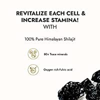 KAPIVA Shilajit resin 20g + Stamin Up Capsule Combo