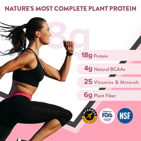 Wellbeing Nutrition Superfood Plant Protein Chocolate Peanut Butter 500g