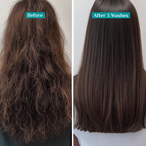 شامبو بيلغريم الكوري بماء الأرز والكولاجين لإصلاح التلف المتقدم (400 مل)