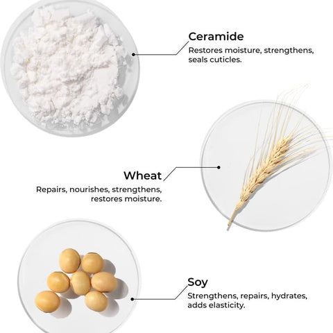 Brillaire Ceramide Shampoo 200 Ml