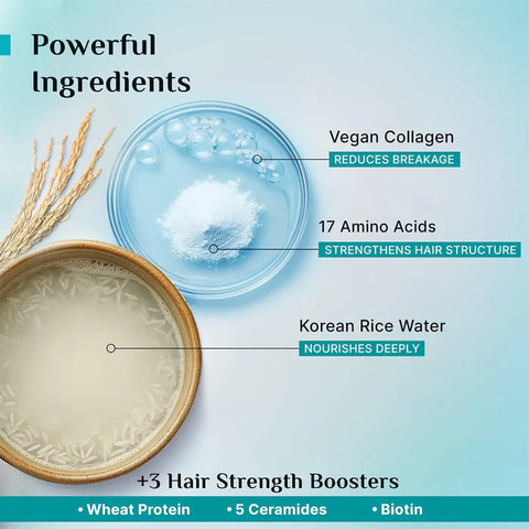 Pilgrim Korean Rice Water & Collagen Advanced Damage Repair Shampoo (400Ml)