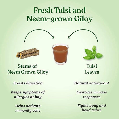 Kapiva Wild Tulsi Giloy Juice 1L