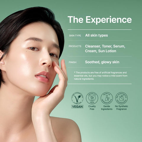 Purito Seoul Best Kit Set