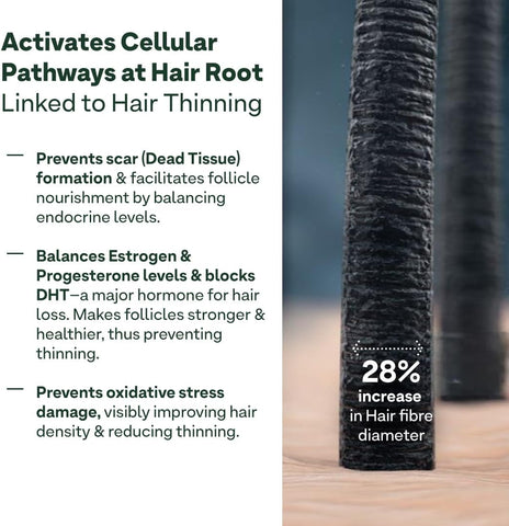 Oziva+ Advanced Hair Growth Actives | Reduces Thinning Hair & Improves Scalp Coverage | Scientist Formulated With Pure Plant Actives | No Side Effects | 90 Caps