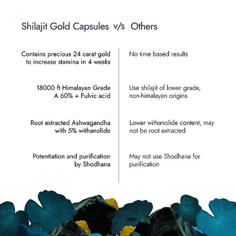 Kapiva Shilajit Gold 60 & Testo Combo