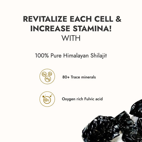 Kapiva Himalayan Shilajit Resin 40gm