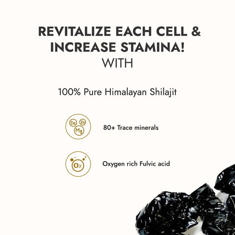 Kapiva Himalayan Shilajit/Shilajeet Resin 40g - For Endurance and Stamina | Contains Lab Report - Super Saver Pack Of 2