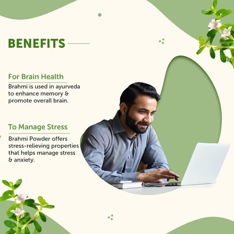Neuherbs Brahmi Powder - 100gm - Image 2