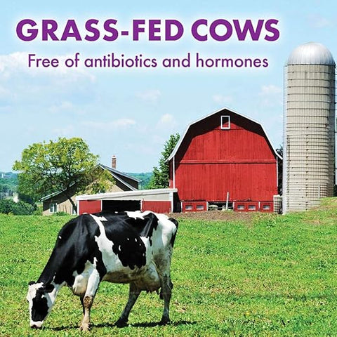 BlueBonnet Whey Protein Isolate Org 2Lb