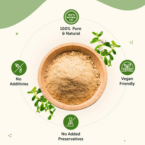 Neuherbs Brahmi Powder - 100gm - Image 3