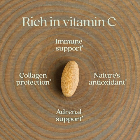 New Chapter Vitamin C + Elderberry With Fermented Vitamin C/Whole-Food Herbs + Collagen Protection, 60 Count (Pack Of 1)