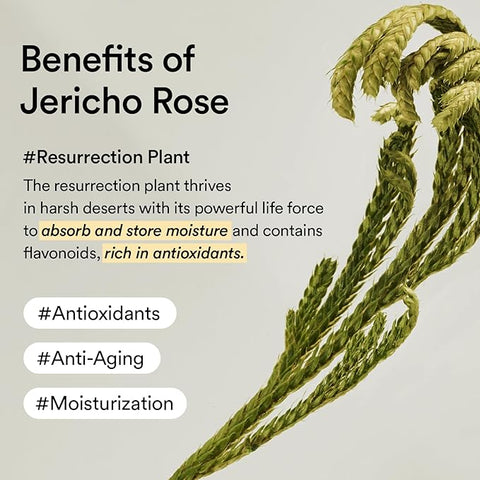 Abib Jericho Rose Crème Nutrition Tube 75ml