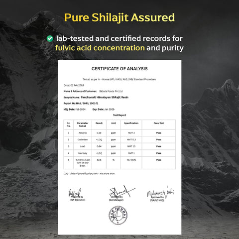 Panchamrit Himalayan Shudh Shilajit Resin 20g + AADAR Performance Oil Stamina Booster for Men (30 ml)