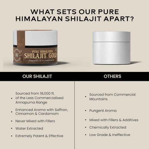 Wellbeing Nutrition Pure Himalayan Shilajit Gold Resin for Strength, Stamina, Performance, Stress Relief and Vitality | With Ashwagandha, Safed Museli & Swarna Bhasma (24K Gold Leaf)