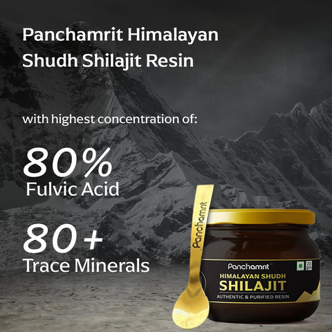 Panchamrit Himalayan Shudh Shilajit Resin 20g 