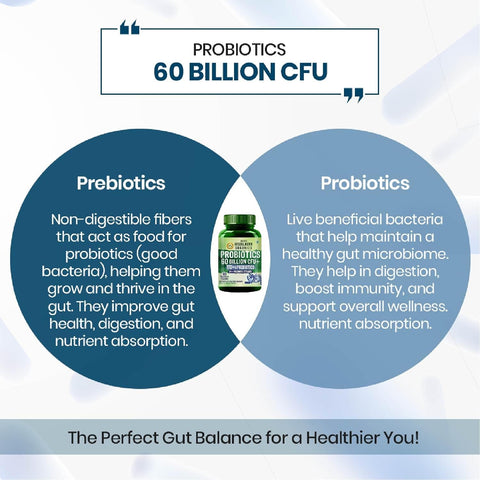 Himalayan Organics Probiotics 60 Billion CFU Mens 60 Caps