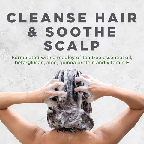 Avalon Organics Scalp Treatment Shampoo, Tea Tree, 325Ml