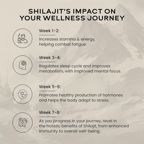 Wellbeing Nutrition Pure Himalayan Shilajit Gold Resin with Ashwagandha, Safed Museli, and Swarna Bhasma (24K Gold Leaf)