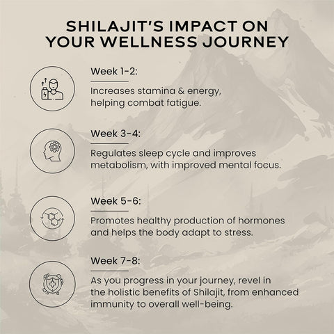 Wellbeing Nutrition Pure Himalayan Shilajit Gold Resin for Strength, Stamina, Performance, Stress Relief and Vitality | With Ashwagandha, Safed Museli & Swarna Bhasma (24K Gold Leaf) Pack Of 2