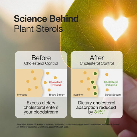 Wellbeing Nutrition Slow | Cholestrol Control 60 Capsules in a bottle