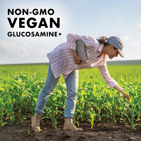 BlueBonnet VEG. GLUCOSAMINE MSM 60S