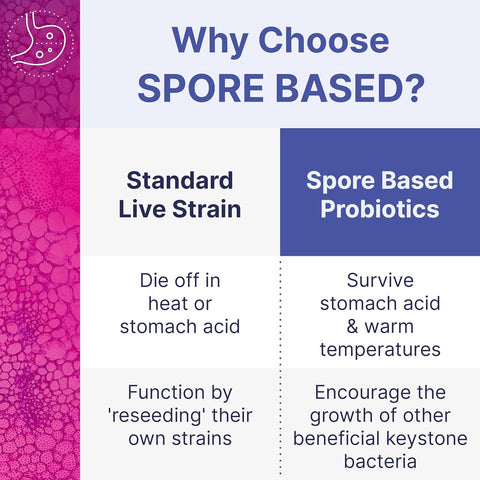 Microbiome Labs MegaSporeBiotic - Spore Based Probiotic to Support Gut Health