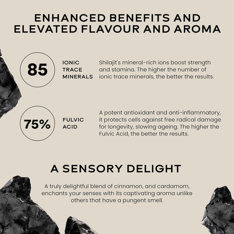 Wellbeing Nutrition Pure Himalayan Shilajit Gold Resin with Ashwagandha, Safed Museli, and Swarna Bhasma (24K Gold Leaf)