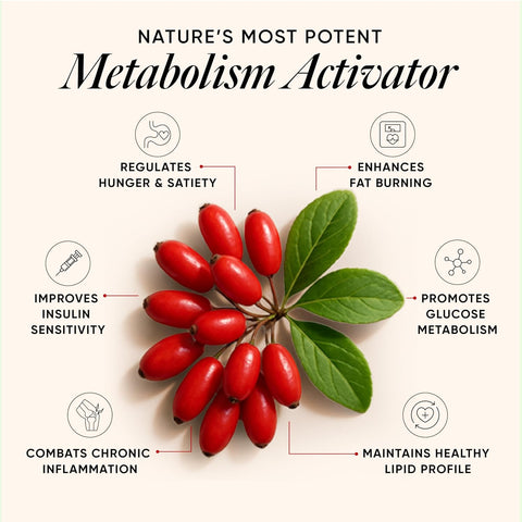 Wellbeing Nutrition Liposomal Berberine HCL 60 Capsules in a bottle