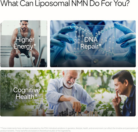 DECODE AGE Liposomal NMN (500mg) 30 Capsules – image 5