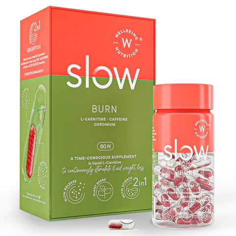 Wellbeing Nutrition Slow - Burn Capsules - Metabolism, Helps Burn Fat, Energy (60 capsules)+Plix Apple Cider Vinegar Apple Burst Green Daily Fizzy to support Digestion & weight 15 Effervescent Tablets