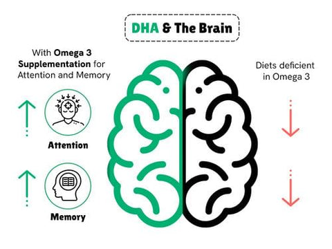 Little Joys DHA Brain Health Gummies 2+ ( Strawberry ) - 30 N