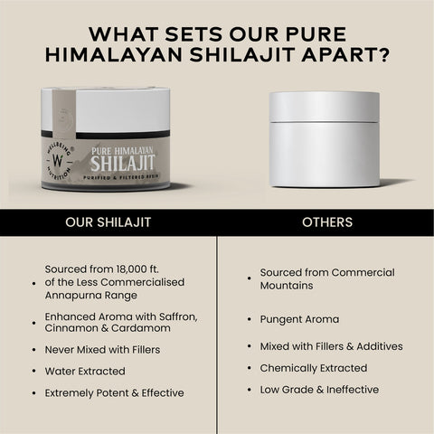Wellbeing Nutrition Shilajit Silver 10gms
