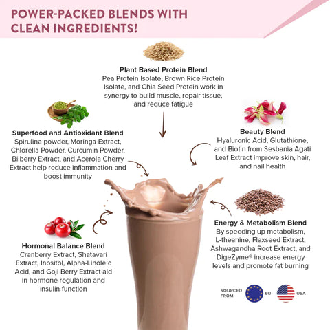 Well Being Nutrition Superfood Plant Protein Chocolate Peanut Butter and  Daily Fiber Vanilla Berry Flavor