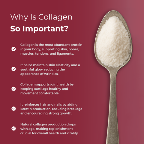 Hi Nutrition collagen+ powder 198g