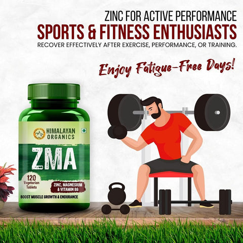 Himalayan Organics ZMA (Zinc, Magnesium & Vitamin B6) 120 Tablets