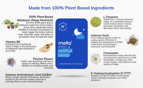 Wellbeing Nutrition- Melts Restful Sleep Plant Based